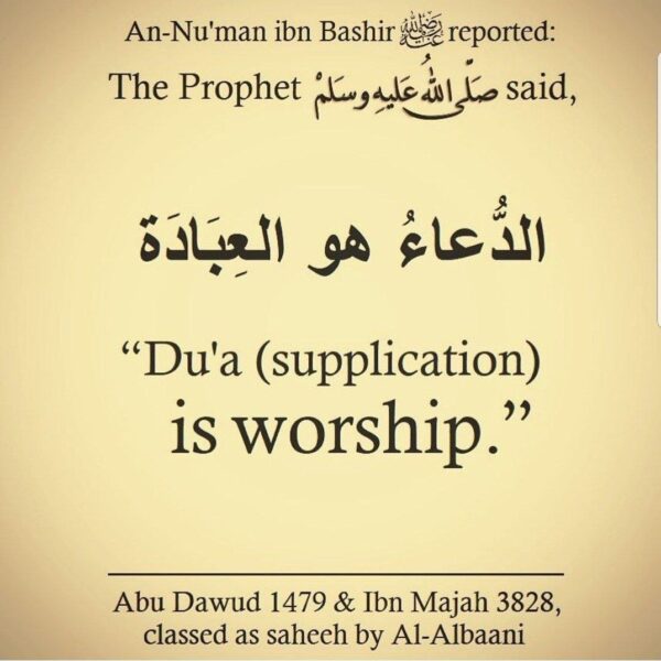 Read more about the article Supplication is Worship – Shaykh Saleh Sindi حقظه الله